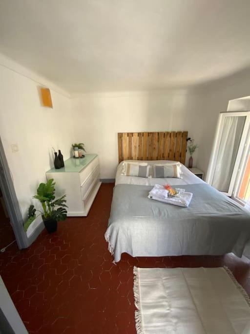 نيس Appartement Typique Nicois En Plein Centre Ville المظهر الخارجي الصورة